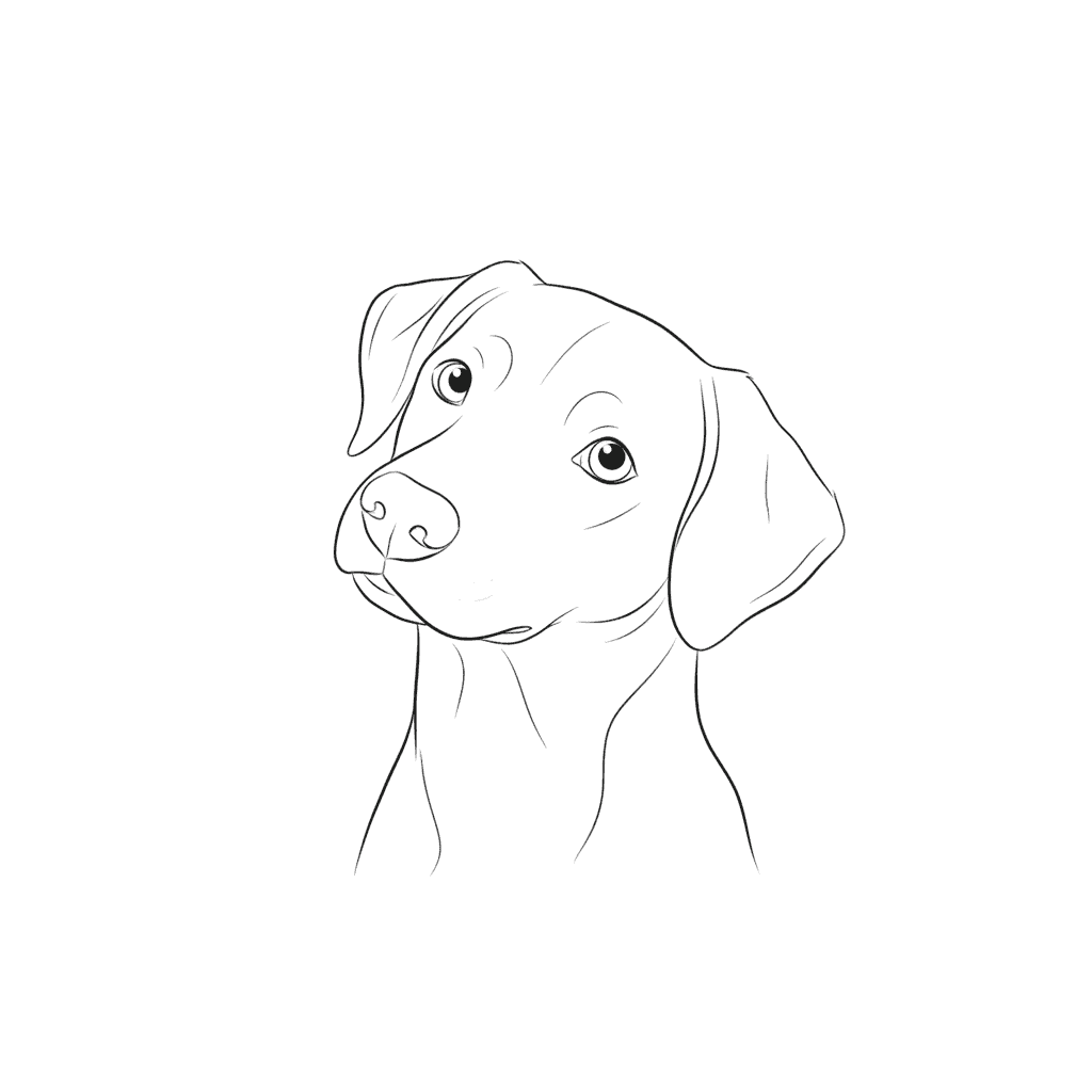 Dog Tilting Head Curiously - easy sketch drawing idea