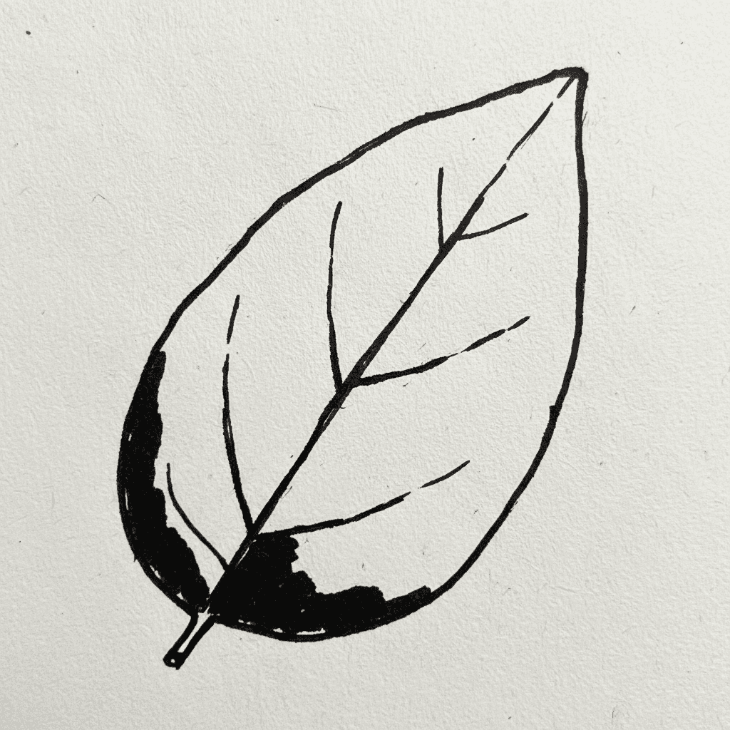 Leaf with Marker Pen - easy sketch drawing idea