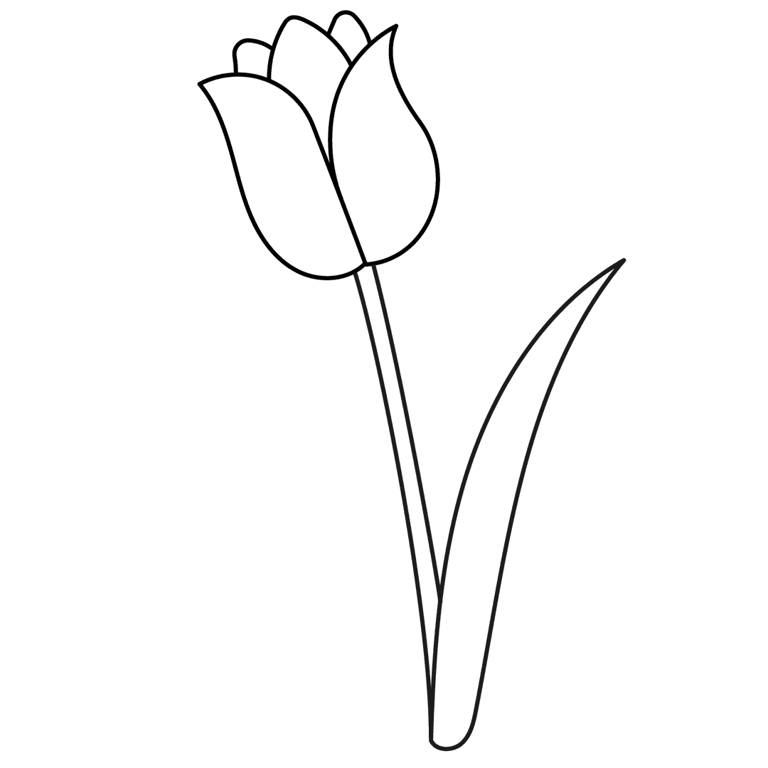 Tulip - easy line-art drawing idea