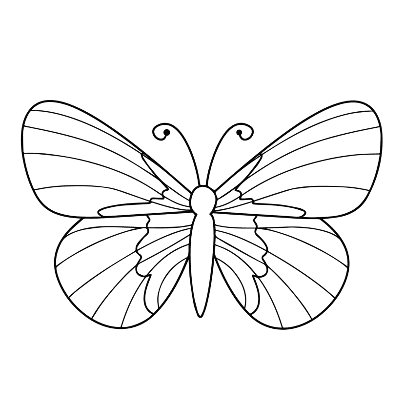 Butterfly - medium realistic drawing idea