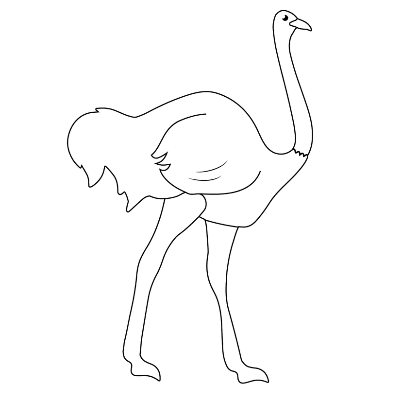 Ostrich - medium cartoon drawing idea