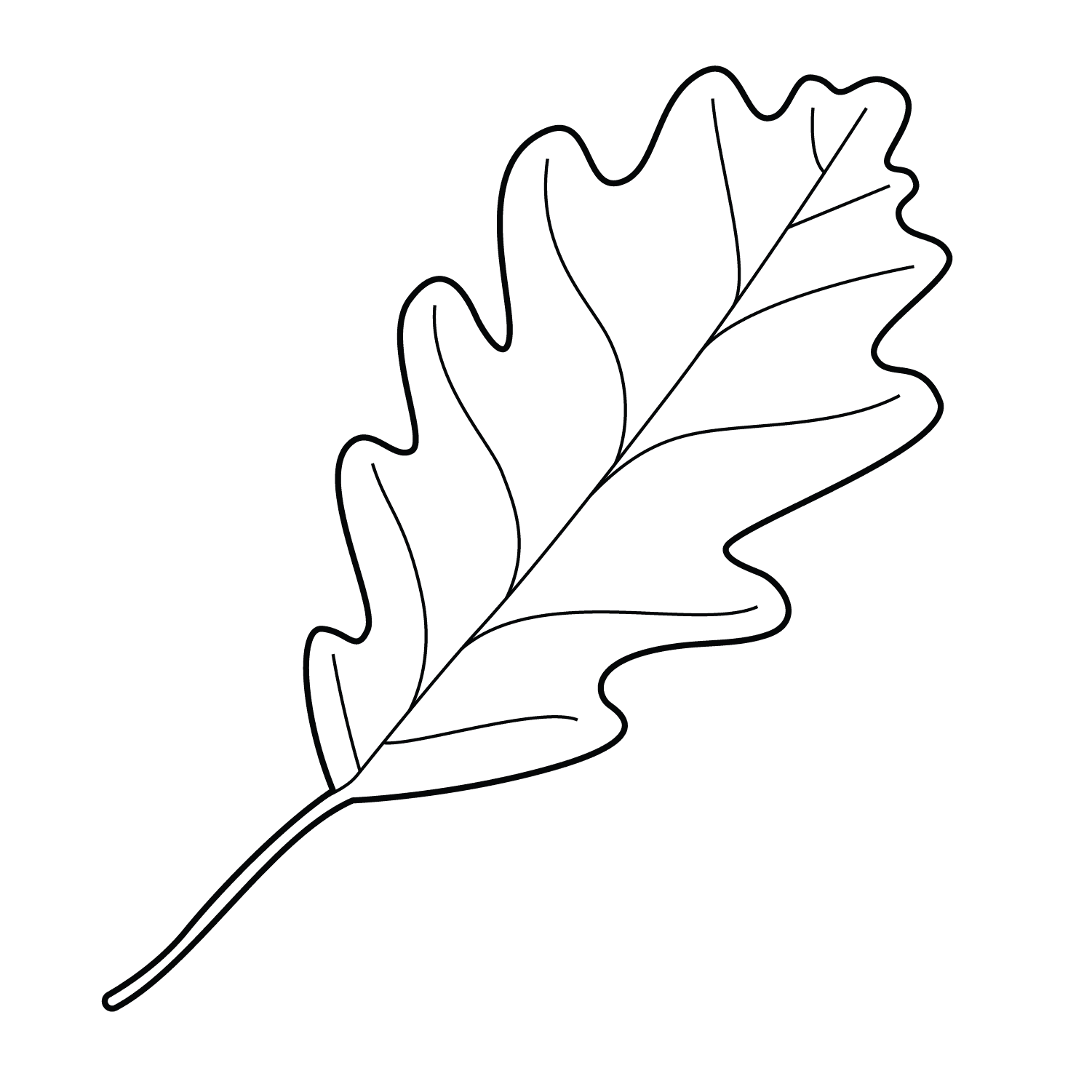 Leaf - easy realistic drawing idea for nature