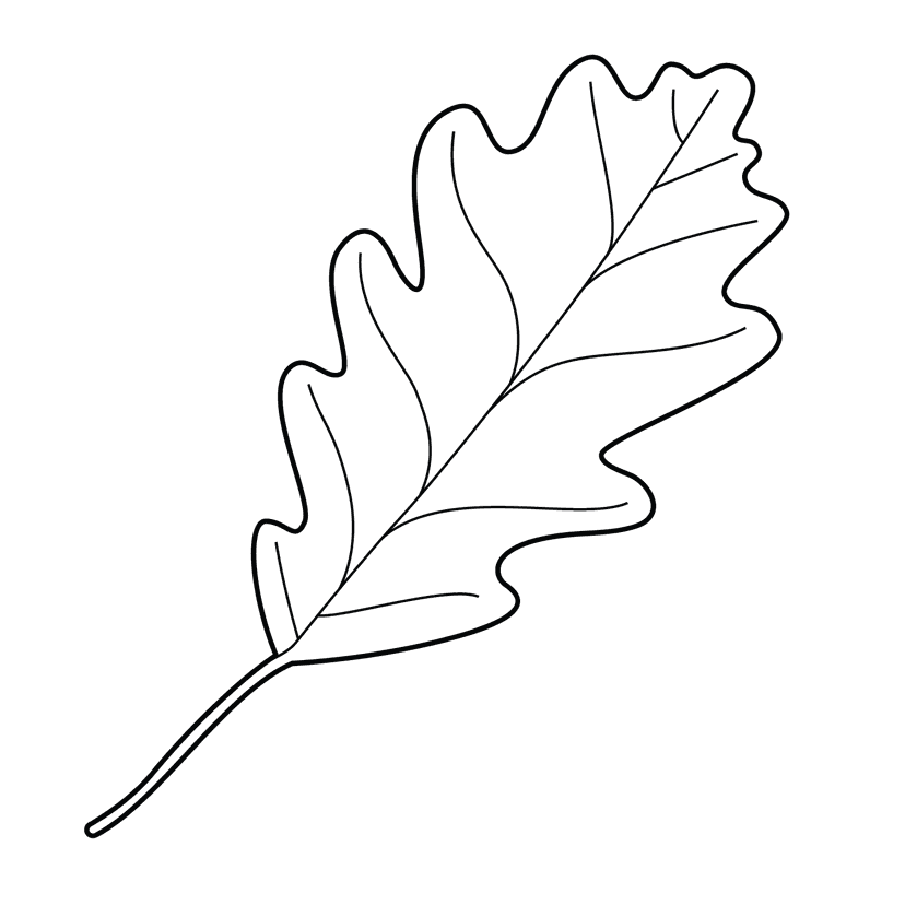 Leaf - easy realistic drawing idea