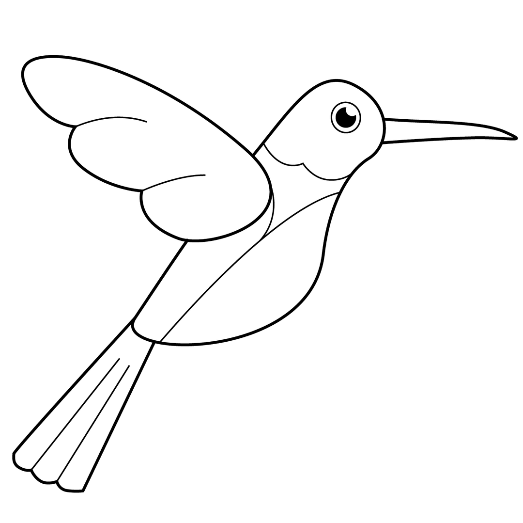 Hummingbird - medium line-art drawing idea for animals