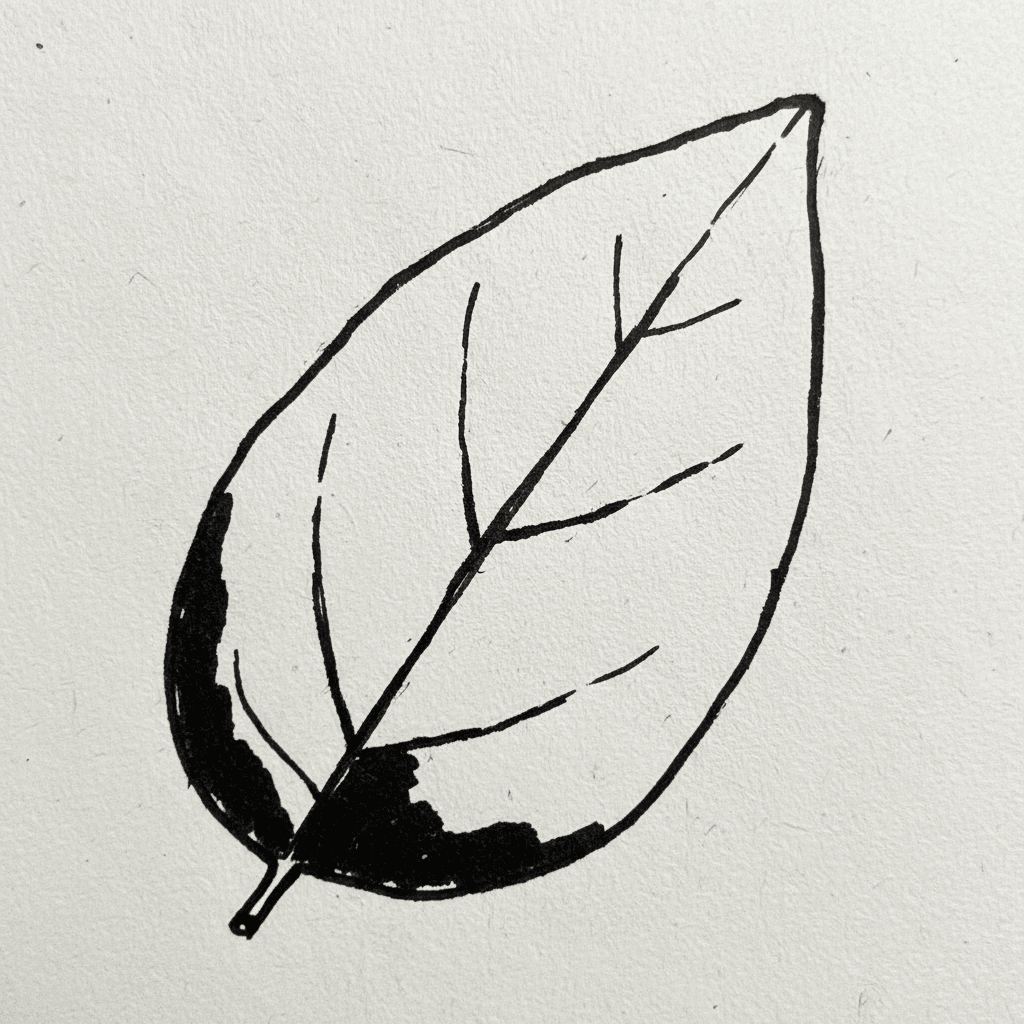 Leaf with Marker Pen - easy sketch drawing idea for nature