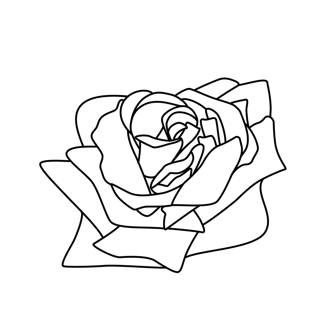 Rose - medium line-art drawing idea for nature