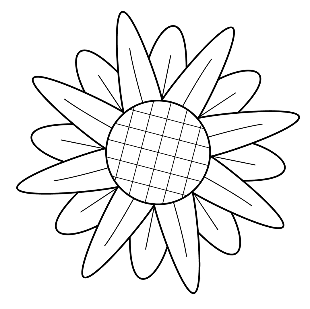 Sunflower - medium line-art drawing idea for nature