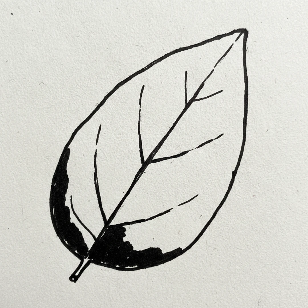 Leaf with Marker Pen - easy marker drawing idea